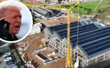 Backlash Hits Trump Administration’s Plan to Invest in South Crofty Tin Mine