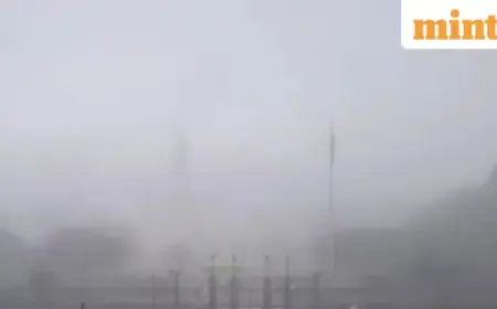 Dense Fog Advisory Issued for Louisiana, Mississippi: Essential Safety Tips