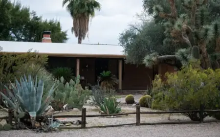 AI and Deepfakes Revolutionize Nancy Guthrie Search: NPR Analysis