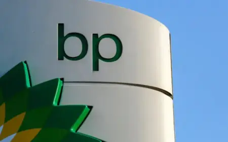 BP Halts Share Buybacks Amid Profit Decline