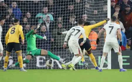 Top Wolves Players to Consider for Double Gameweek 26