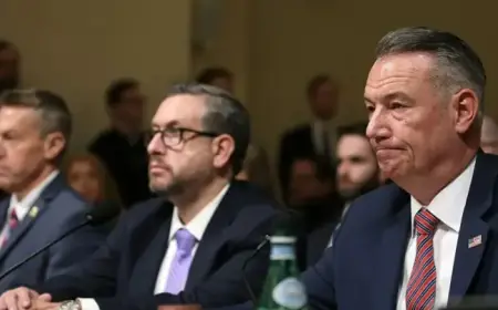 ICE Chief and Immigration Officials Testify at House Hearing