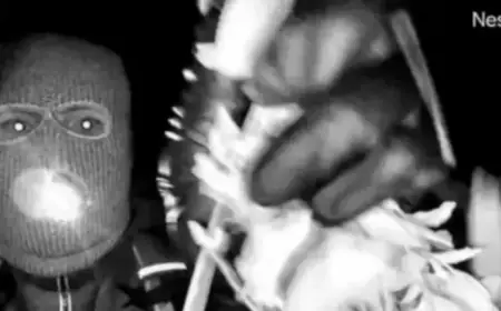 New Surveillance Footage Released from Nancy Guthrie’s Home