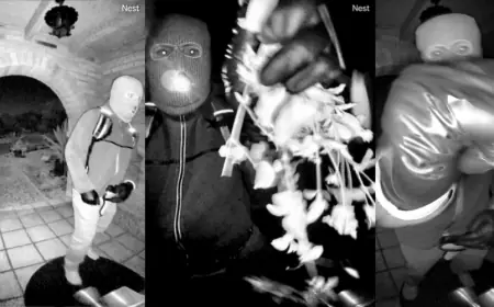 Savannah Guthrie update: FBI releases new images in mom Nancy Guthrie case as investigators urge the public to help identify a masked porch figure