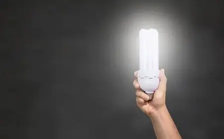 OpenAI Endorses First Insurer-Developed AI App on ChatGPT