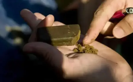 Police Detain Woman in Horta with Over 15,000 Drug Doses