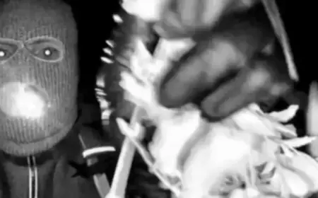 Masked Intruder Likely to be Identified at Nancy Guthrie’s Home