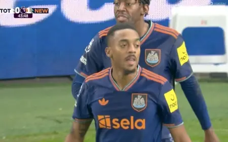 Newcastle edge Tottenham 2–1 as Spurs’ slump deepens in North London