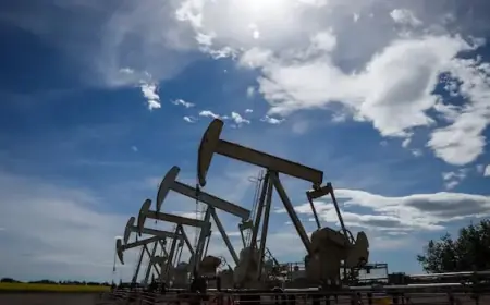 Canadian Oil Industry Strengthens with Ongoing Mergers and Acquisitions