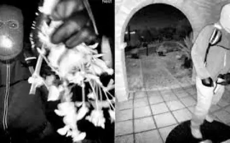 Nancy Guthrie update: Newly released surveillance images race across social media as viewers amplify the FBI’s request to identify the masked figure