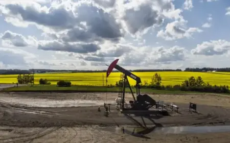 Canadian Oil Industry Set to Expand Through Mergers and Acquisitions