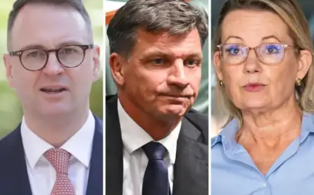 Lib Senator Challenges Ley’s Rivals to Initiate a Spill