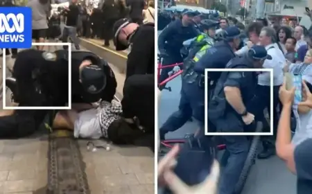 Analyzing Police Actions at Sydney Protest: Excessive or Reasonable?