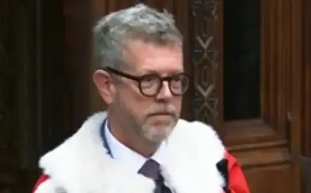 Labour Chair Urges Revocation of Starmer Aide’s Peerage Over Paedophile Ties