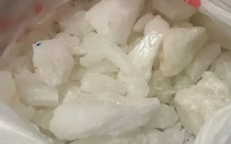 Man Arrested in Record Narcotics Seizure at Abbotsford-Huntingdon Crossing