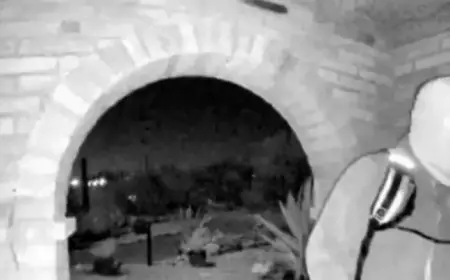 Nancy Guthrie Probe: How Masked Individual Video Transforms the Investigation