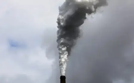 Trump Plans Major Rollback of U.S. Climate and Environmental Policies