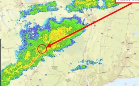 Plane Misses Turbulence Warning: Flight Attendants Seriously Injured