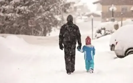 “NH Snowfall Forecast: Inches, Timing, and Detailed Maps Tonight”