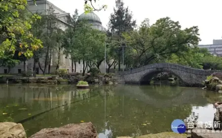 Strengthened Monsoon Brings Brief Showers to North Coast and Eastern Regions