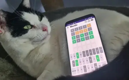 Wordle Clues and Answer for Tuesday, February 10