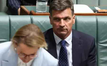 Angus Taylor Resigns from Liberal Frontbench, Sparking Leadership Challenge
