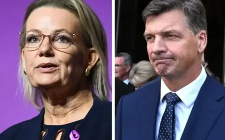 Taylor Resigns from Shadow Cabinet to Challenge Ley