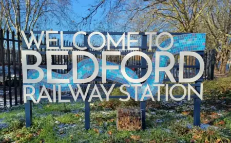 UK Railways Introduce The Green Line: A Sanctuary for Rare Species