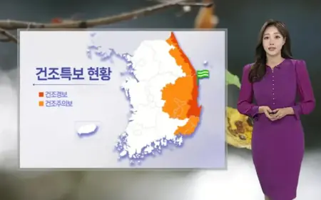 Fog and Dust Alert Tomorrow; East Faces Dry Weather Advisory