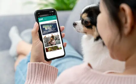 Choose Pet Industry News as Your Top Google News Source