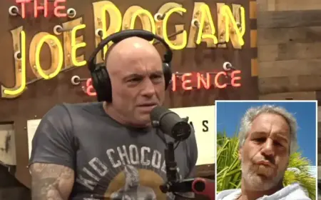 Joe Rogan Criticizes Ex-Podcast Guest for Jeffrey Epstein Introduction Attempt