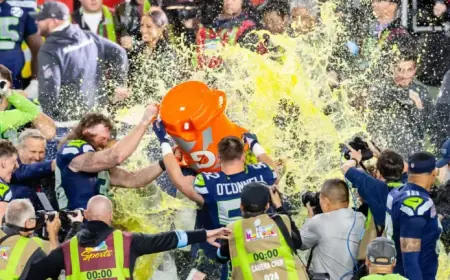 Seahawks Fans Turn Super Bowl into Home Game, Force Patriots to Use Silent Count