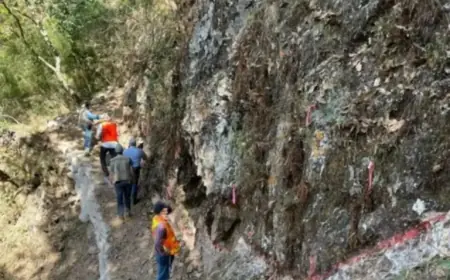 Canadian Mining Workers Discovered Dead in Mexico