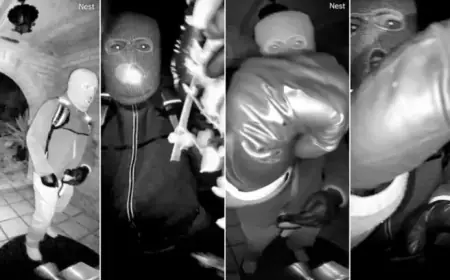 Google’s Crucial Role in Recovering Video from Nancy Guthrie’s Cameras