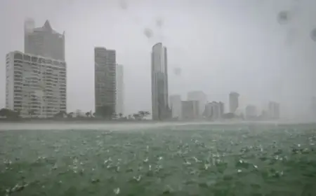 AFL Stars Face Off Against NRL and Rugby Union Elites in New Reality Series