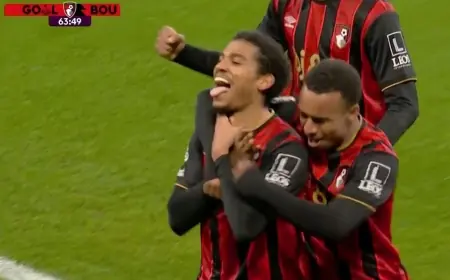 Bournemouth stun Everton with rapid comeback as Rayan strikes again