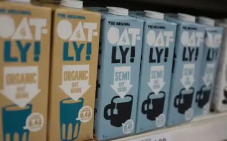 Court Rules Oat-Based Products Cannot Be Marketed as ‘Milk’