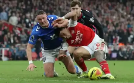 Ex-Arsenal, Sunderland Player Urges Black Cats Star to Join Emirates