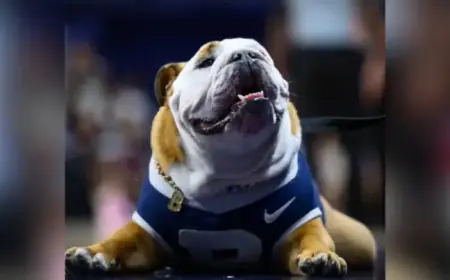 Butler’s Beloved Mascot Blue IV Retires from Public Appearances