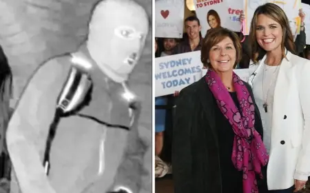 Nancy Guthrie Update Today: Search Intensifies as Investigators Detain and Release a Person of Interest