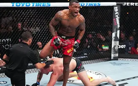 Jailton Almeida Released by UFC Following Back-to-Back Losses