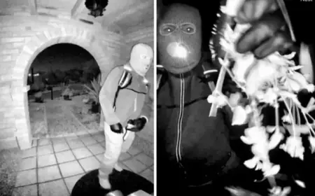 Recovered Guthrie Footage Sparks Major Questions