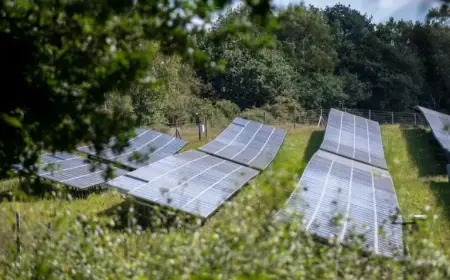 UK Onshore Wind and Solar Now 50% Cheaper Than New Gas