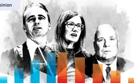 Analyzing the Highlights and Pitfalls of Profit Season