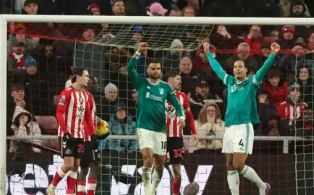 Liverpool Clinches 1-0 Victory Against Sunderland: In-Depth Analysis