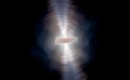 Unveiling the Intricate Architecture of the Egg Nebula