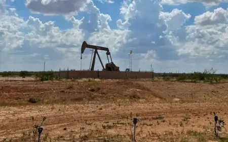 Oil Prices Rise as Investors Evaluate U.S. Market Trends