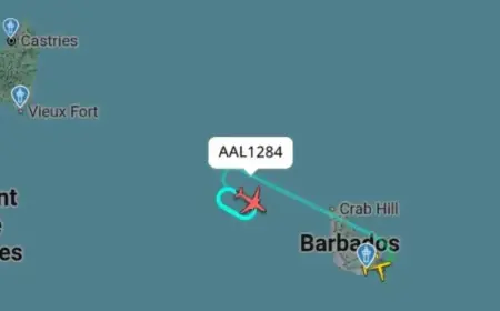 Miami-Bound AA Flight Safely Lands at GAIA