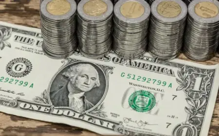 Mexican Peso vs. US Dollar: Exchange Rate for Wednesday, February 11, 2026