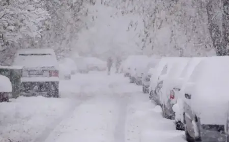 NYC Extends Alternate Side Parking Suspension to Tuesday